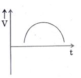 [Graph B Placeholder]