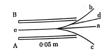 Electron path options