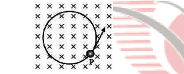 Particle in a uniform magnetic field moving on a circle