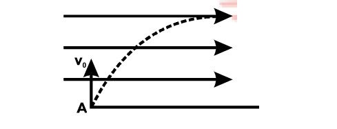 Projectile motion with horizontal wind