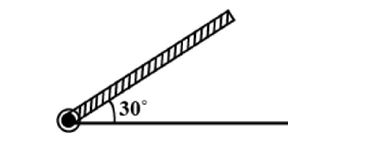 Rod pivoted at one end